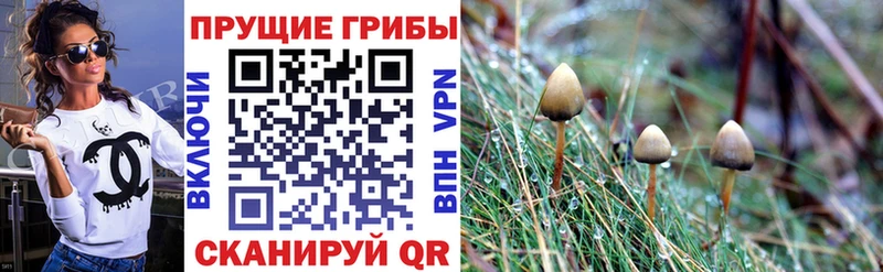 MEGA рабочий сайт Красноярск Галлюциногенные грибы мухоморы закладки