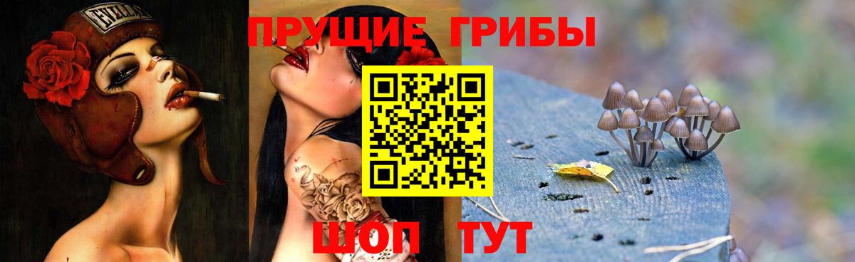 сколько стоит  Вход с VPN  Галлюциногенные грибы ЛСД  Красноярск  Галлюциногенные грибы мицелий 